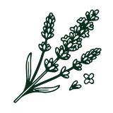 Lavender oil