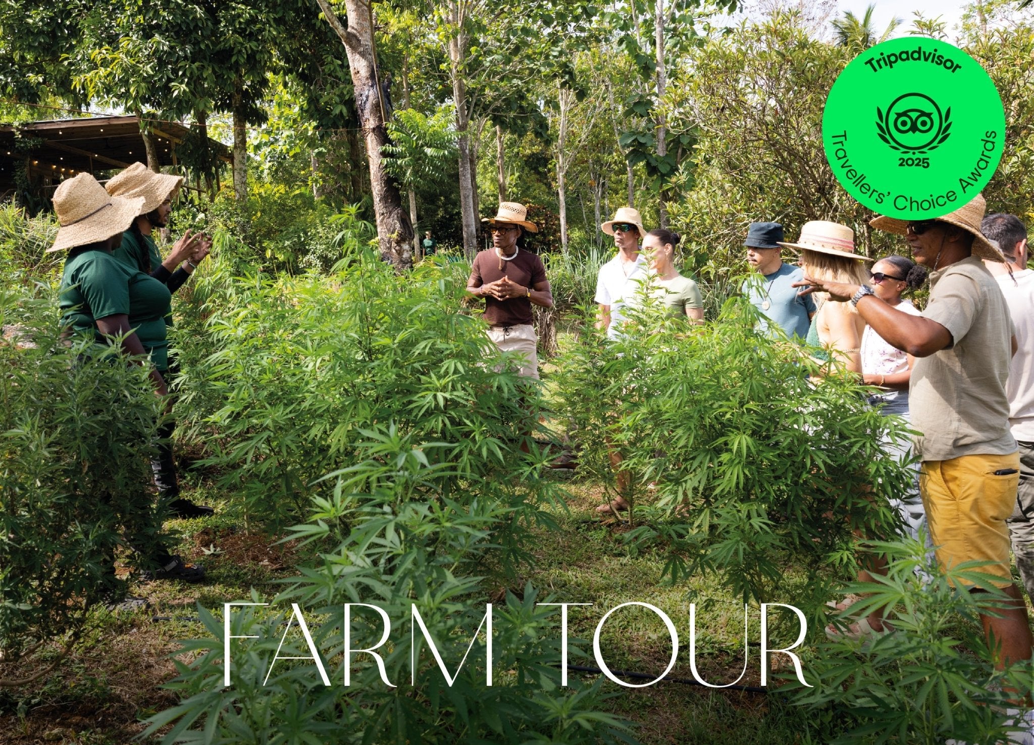 Farm Tour - Jacana Wellness