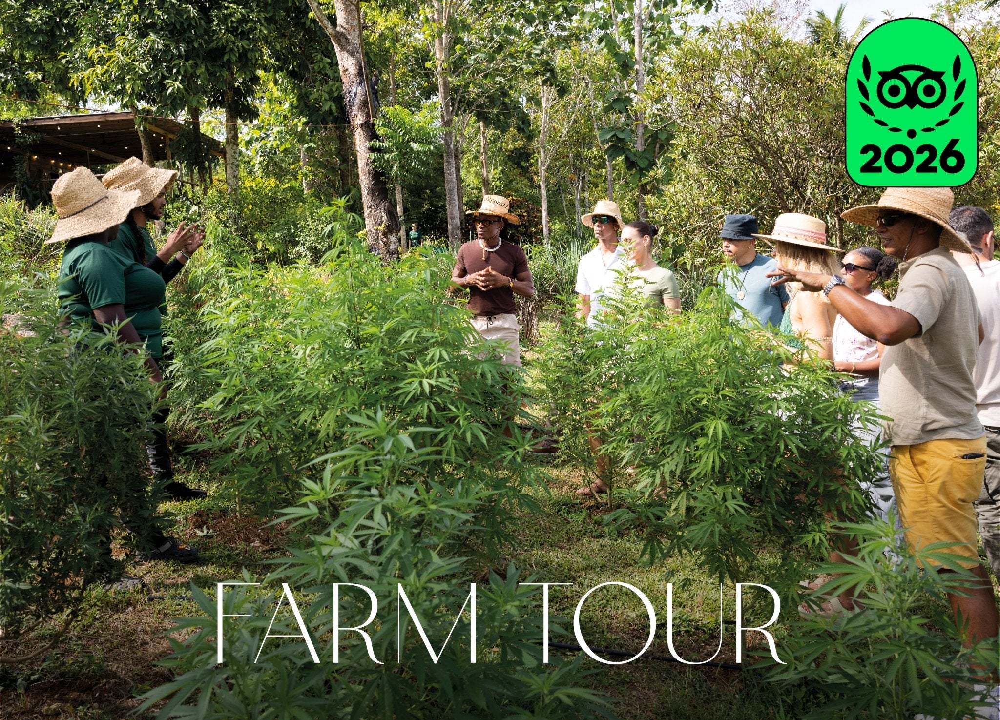Farm Tour - Jacana Wellness