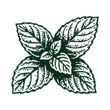 Menthol