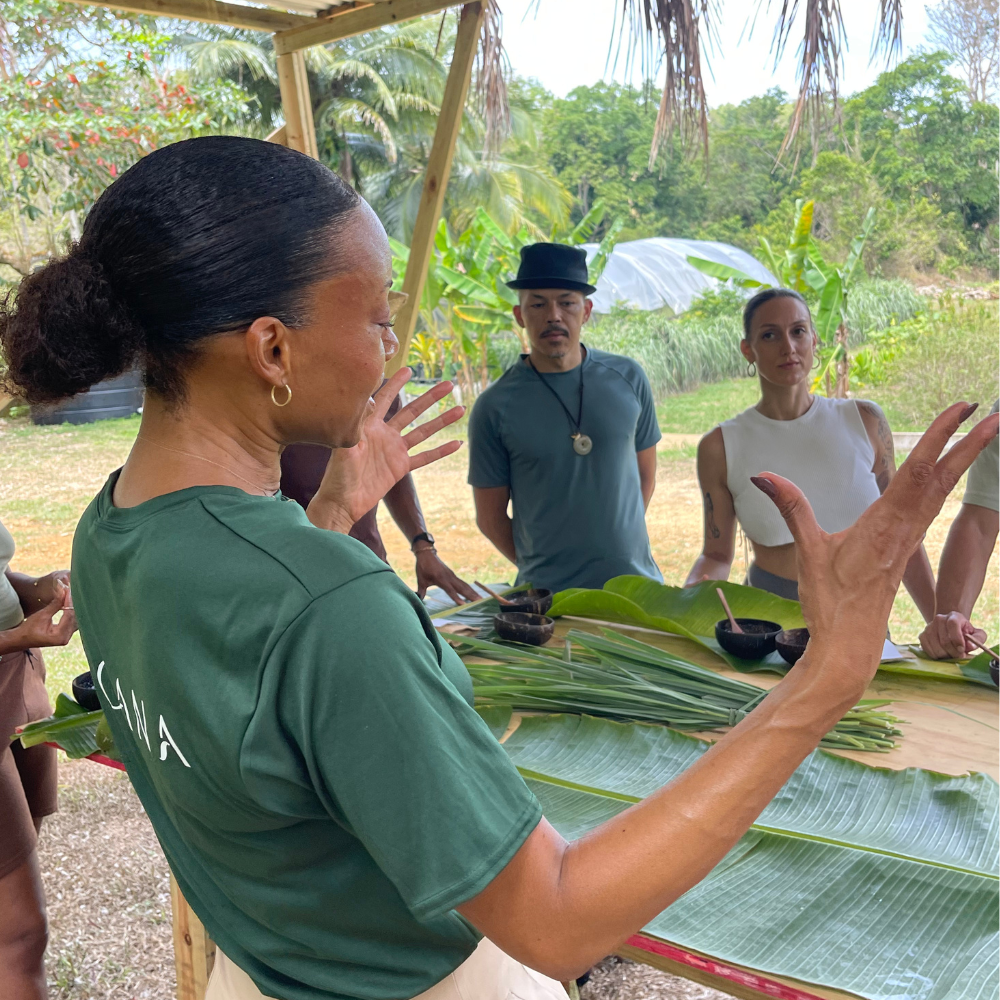 Private Package Tour - Jacana Wellness