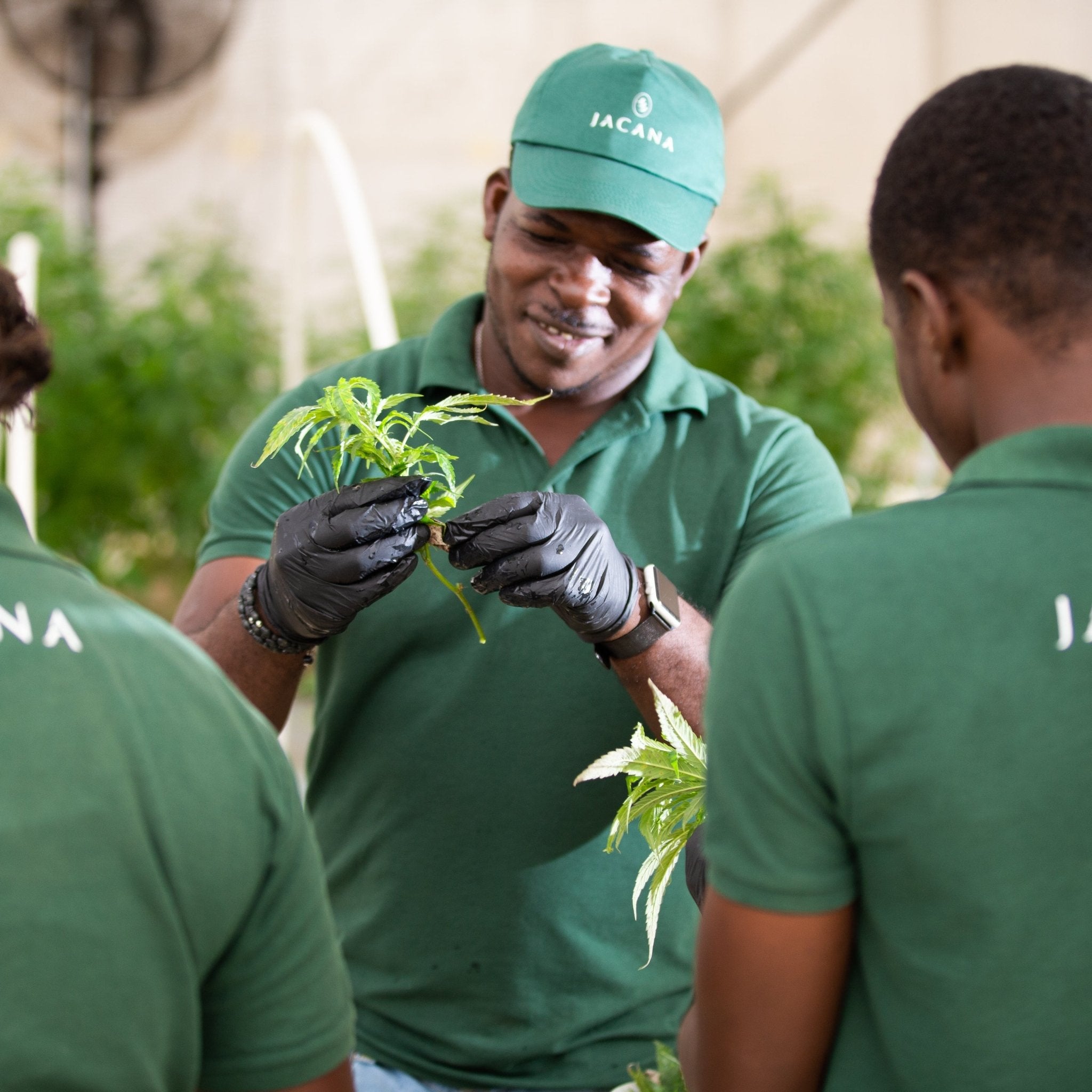 Private Package Tour - Jacana Wellness