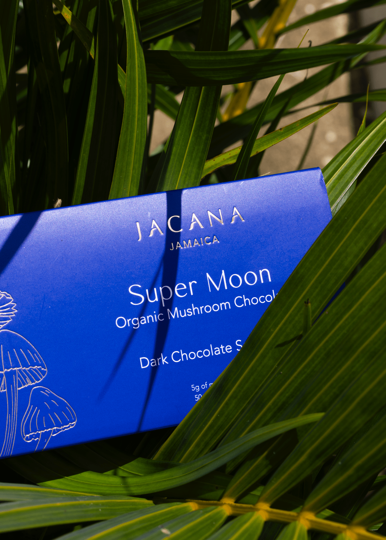 Super Moon - Jacana Wellness