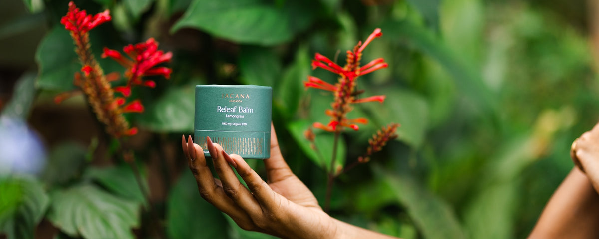 Hand holding a JACANA Releaf Balm box among red flowers and tropical leaves in Jamaica