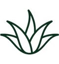 FARM-FRESH ALOE VERA