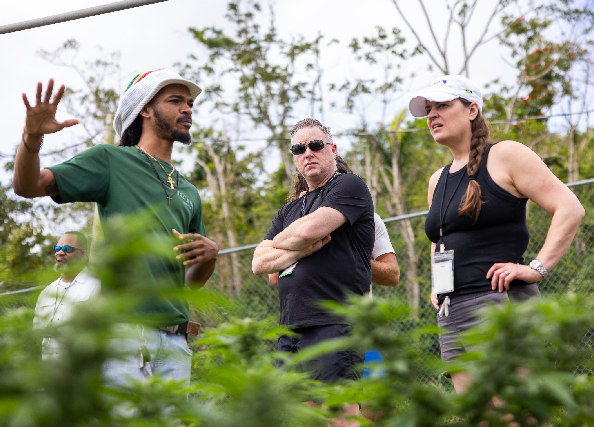 Roots & Remedies Wellness Farm Tour