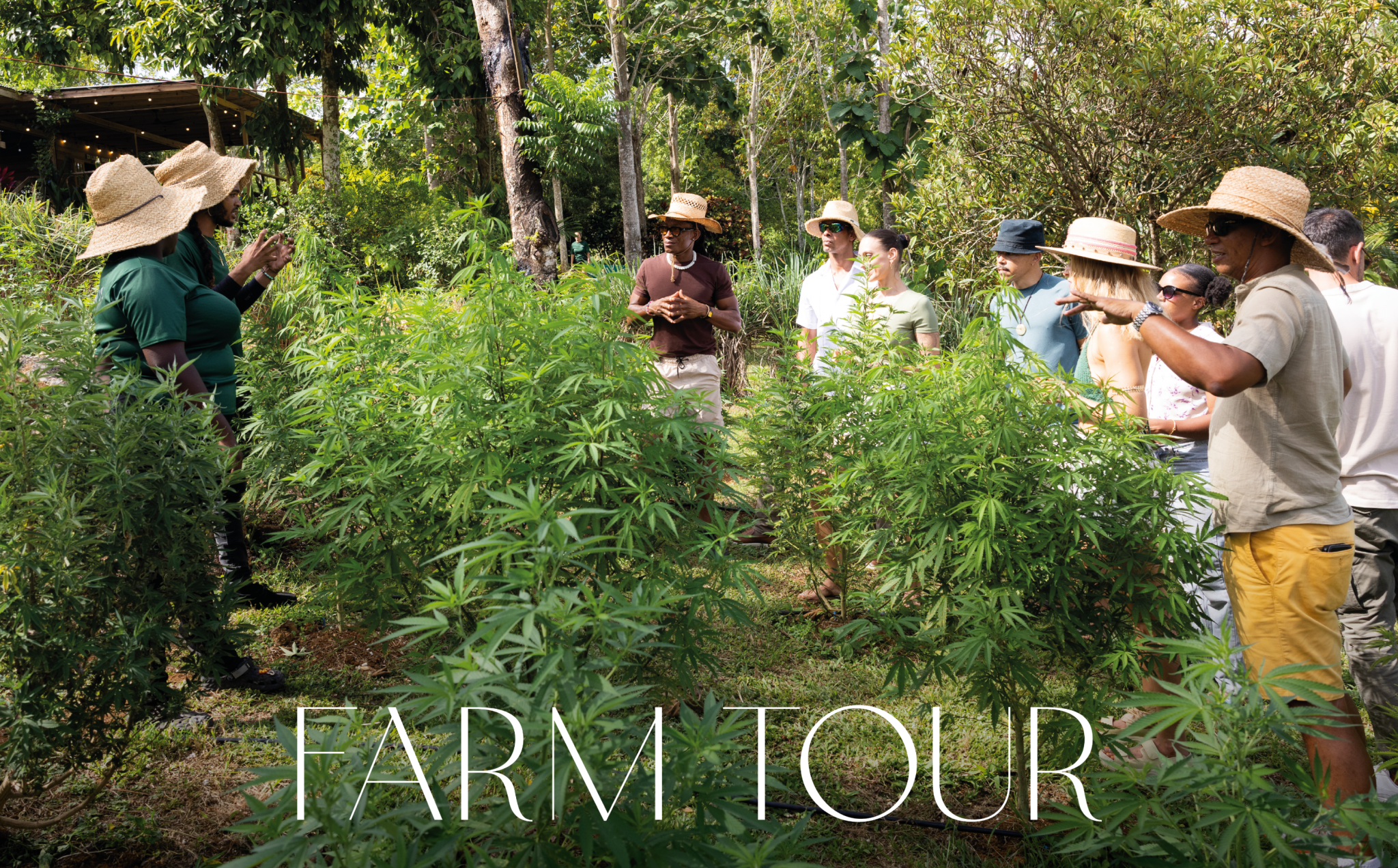 Farm Tour - Jacana Wellness