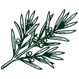 Tea tree oil