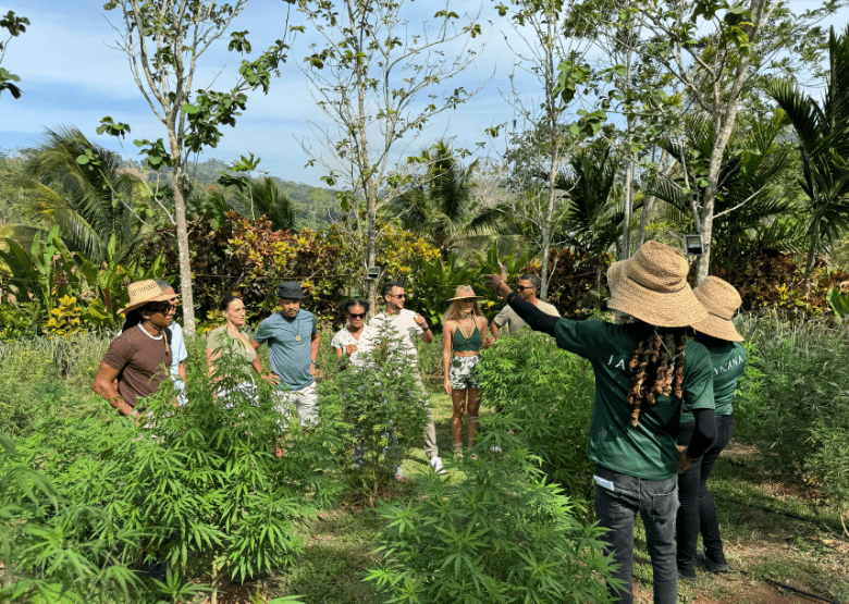 JACANA Farm Tour - Jacana Wellness